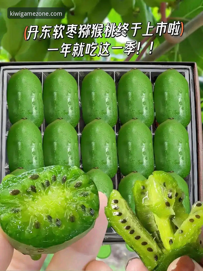 揭秘奇异果体育安卓版对比：不同版本之间的真实差异